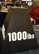 1000 lb. INFO ELECTRIC POWER BASE INFORMATION BARIATRIC INFO HEAVY DUTY WIDE BIG BEDS
